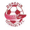 https://img.xixiguang.com/img/football/team/94cfab0be8aab0fc0466a24c4984df42.png